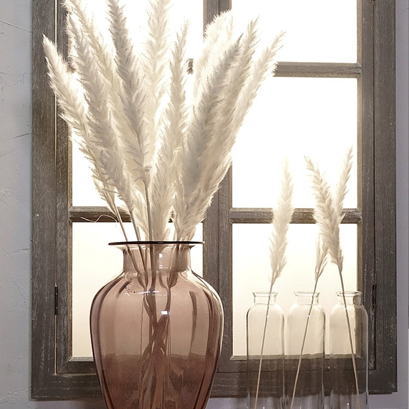 Bulrush Natural Dried Small Pampas Grass
