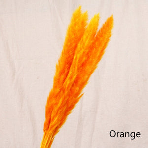 Bulrush Natural Dried Small Pampas Grass