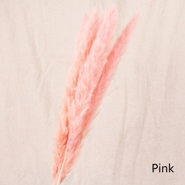 Bulrush Natural Dried Small Pampas Grass