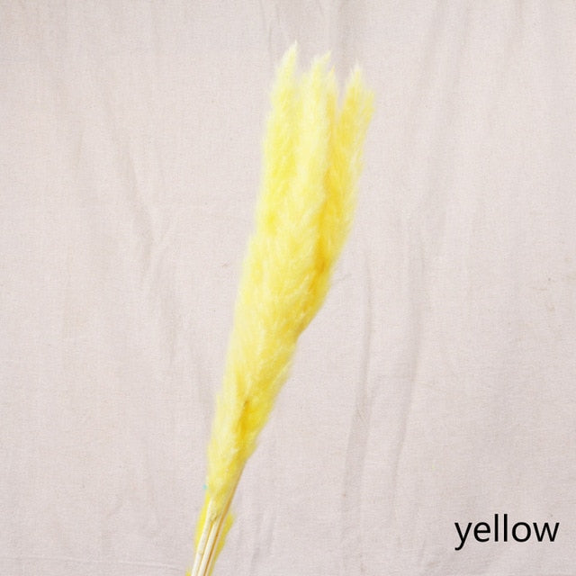 Bulrush Natural Dried Small Pampas Grass