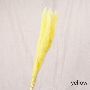 Bulrush Natural Dried Small Pampas Grass