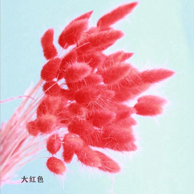 Bulrush Natural Dried Small Pampas Grass