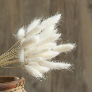Bulrush Natural Dried Small Pampas Grass