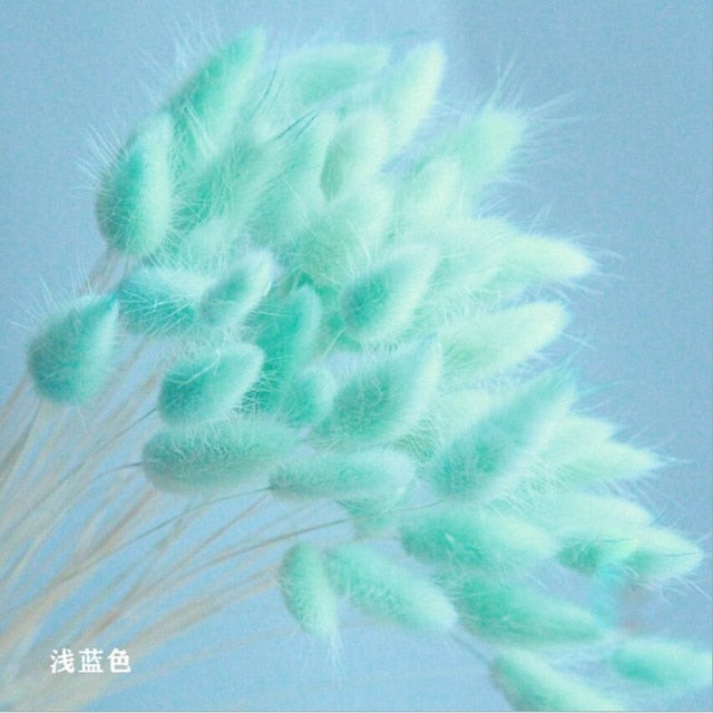 Bulrush Natural Dried Small Pampas Grass