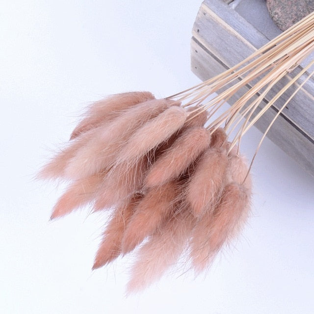 Bulrush Natural Dried Small Pampas Grass