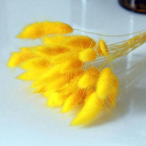 Bulrush Natural Dried Small Pampas Grass